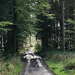 Am Eggegebirge * Bad Driburg