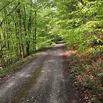 Am Eggegebirge