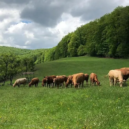 Am Eggegebirge * Bad Driburg