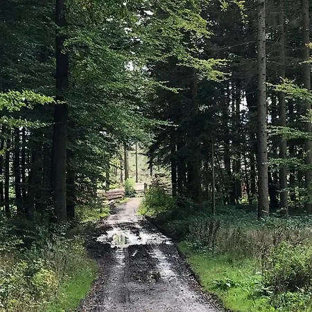 Am Eggegebirge * Bad Driburg