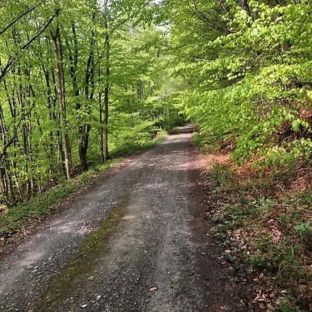 Am Eggegebirge