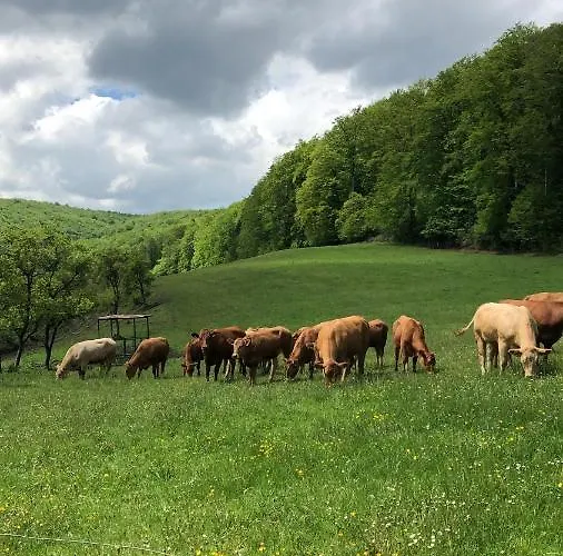 Am Eggegebirge * Bad Driburg