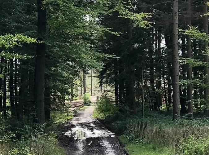 Am Eggegebirge * Bad Driburg